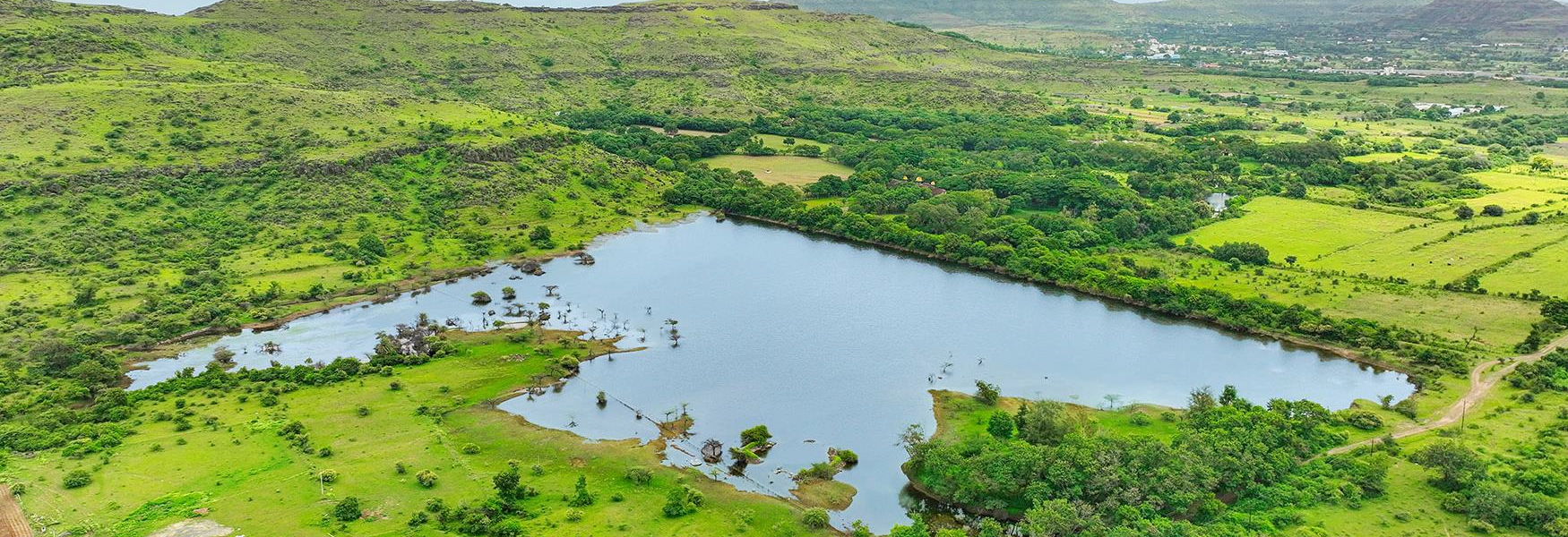 Shapoorji Treetopia Pune Investment Land