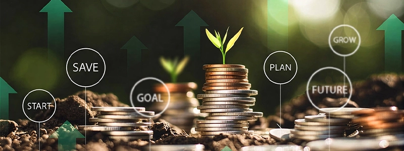 Treetopia Pune Investment