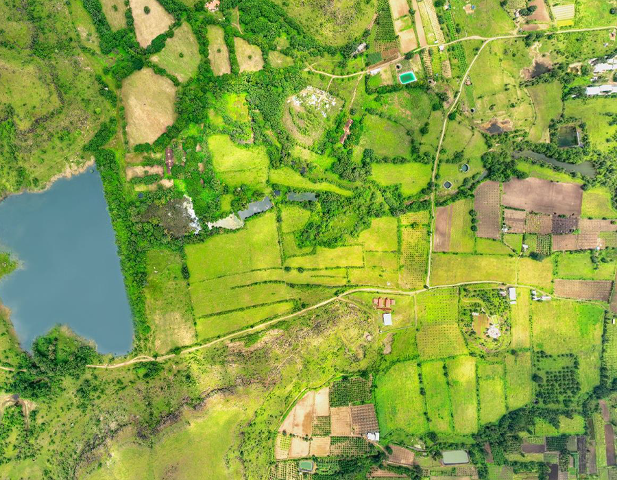 Shapoorji Pallonji Treetopia Banner 1 Mobile