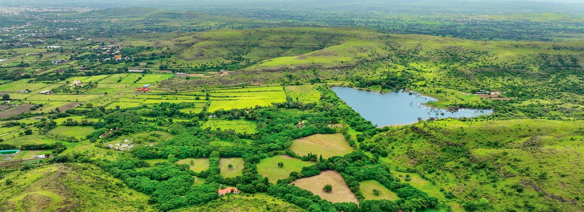 Treetopia Pune Banner 1