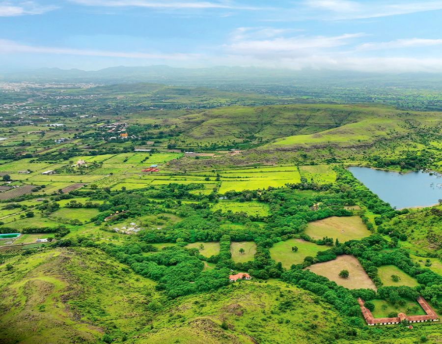 Shapoorji Pallonji Treetopia Banner 2 Mobile