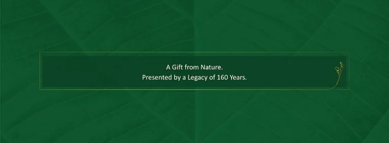 Shapoorji Pune Insider Blog Mobile