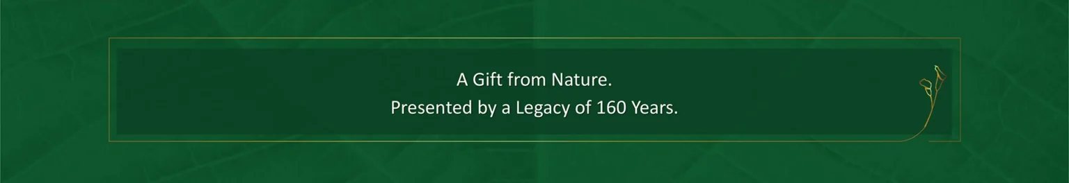 SP Pune Insider Blog